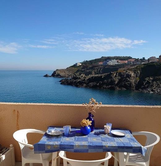 4Rb44 Appartement Proche Plage Collioure Eksteriør billede